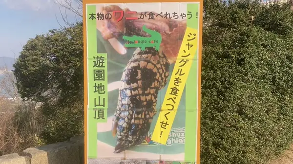 本物のワニが食べれちゃう？！🐊