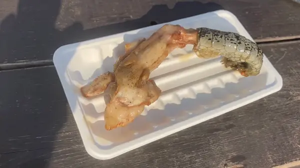 【クロコダイル·ハンド　ワニ肉手羽】800円