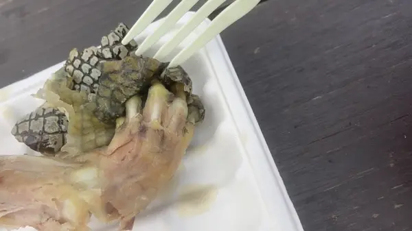 【グロ注意】