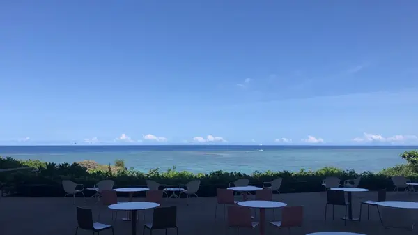 カフェからの景色