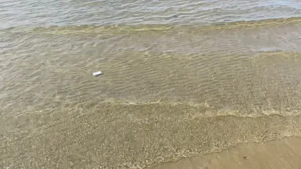 海水