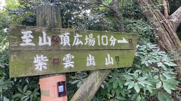 頑張って登るぞ！