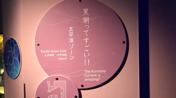 太平洋ゾーン