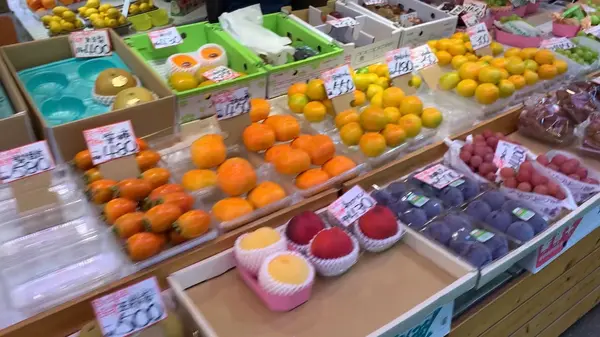 果物🍎