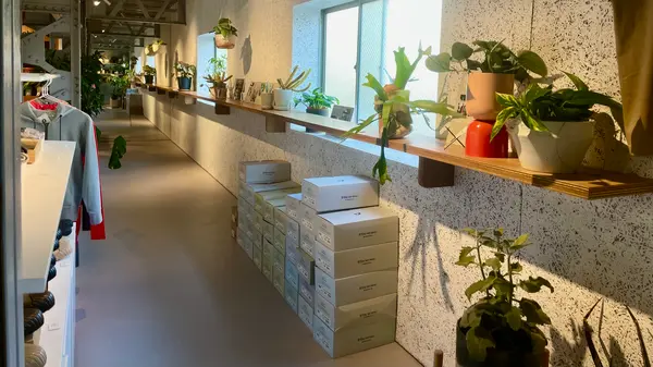 2階は植物