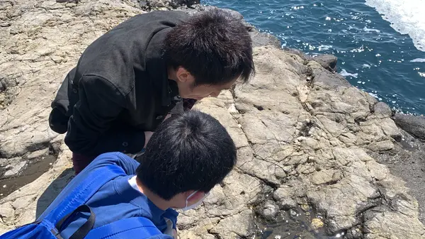 なんかいるらしい。