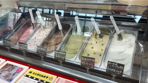 ジェラートボックス