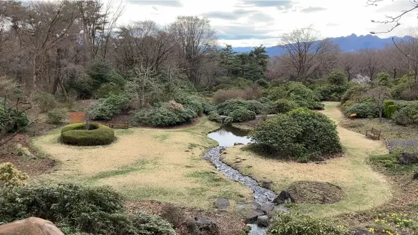 展望台からの景色