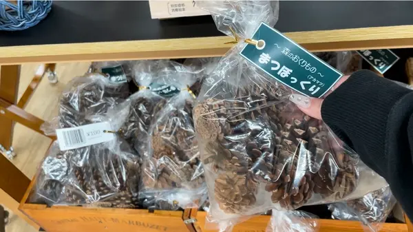 松ぼっくり