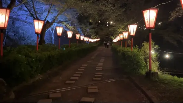 夜の景色