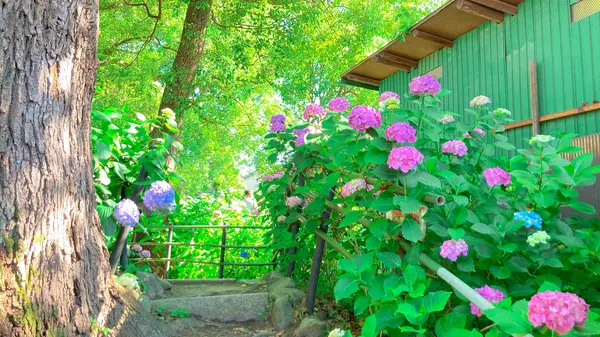一方通行で巡るようになっています