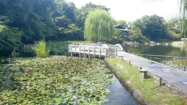 池