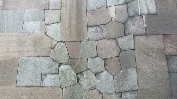 正面から、色紙短冊