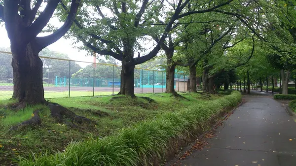 ちょっと訳ありで「入船公園」を紹介