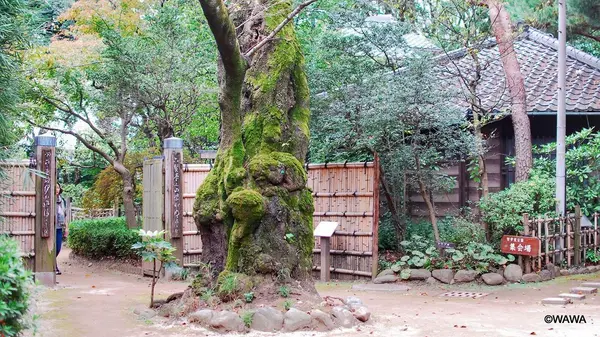 常識門 哲学堂公園