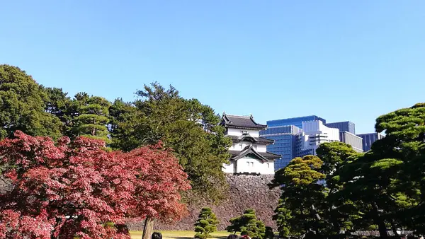 江戸城跡