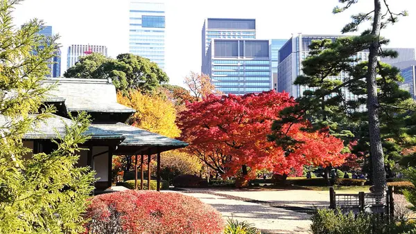 近代的建物とのコントラスト