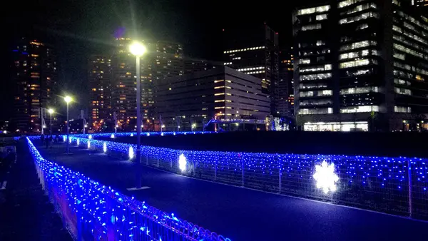 新高島駅からの空地の道
