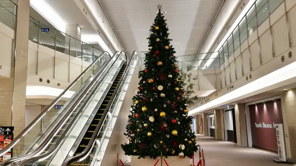 クリスマスツリー
