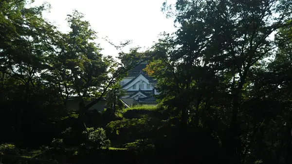 徳川政権