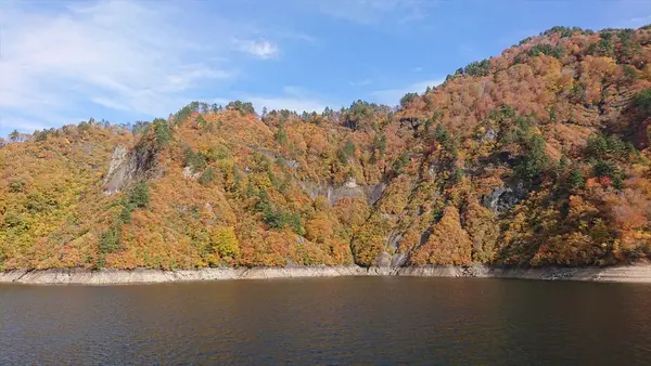船の上からの紅葉