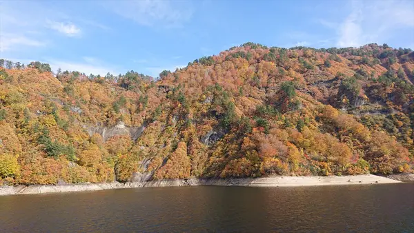 船の上からの紅葉