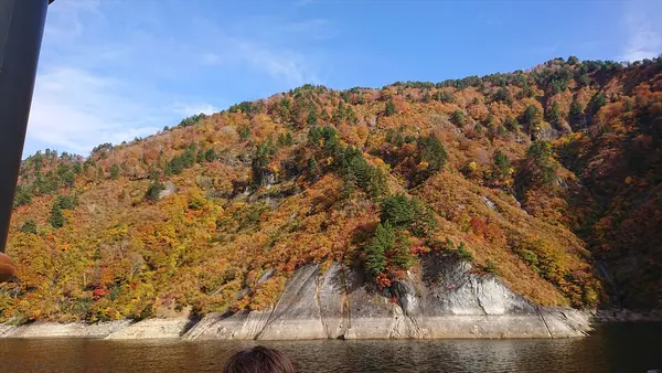 船の上からの紅葉