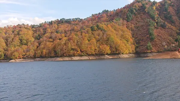 船の上からの紅葉