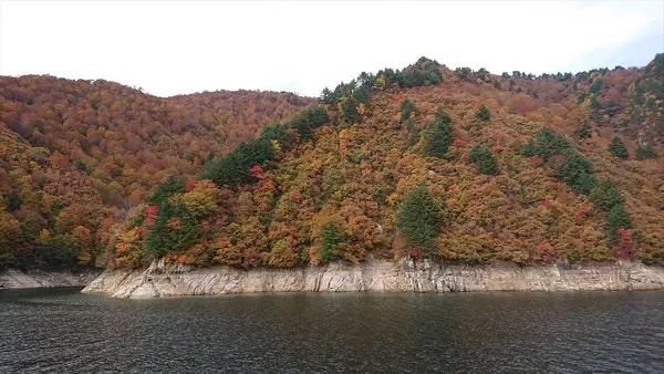 船の上からの紅葉