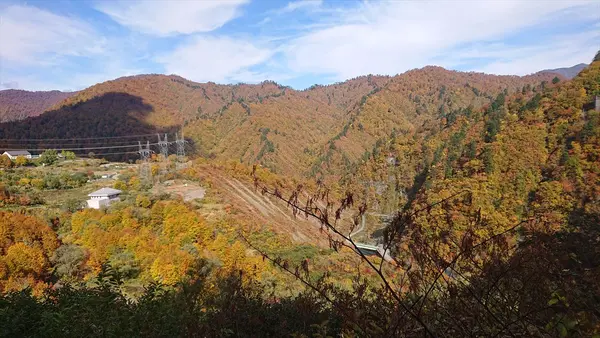 紅葉
