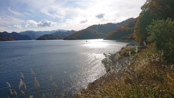 湖に光る