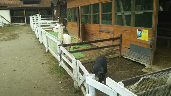 ふれあい動物園