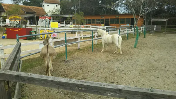 ふれあい動物園