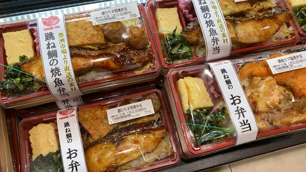 ごはんが見えない！具だくさん弁当