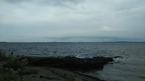 海とあそぶ道