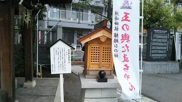 玉の輿たまちゃん