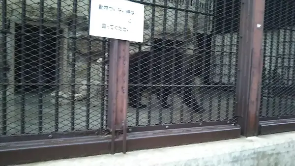 約１２０種４００点