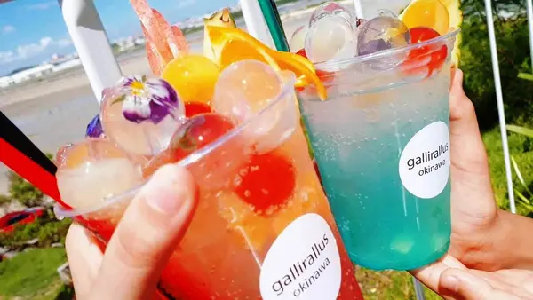 Gallirallus (ガルリラルルス)