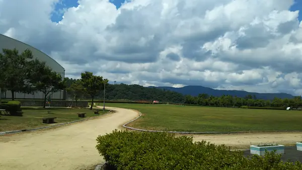 航空機内の見学が可能