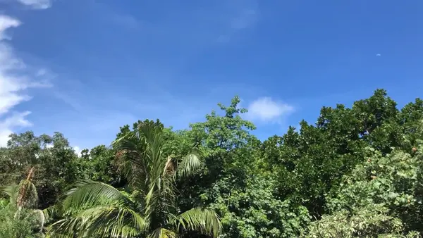 ホテルの目の前の景色