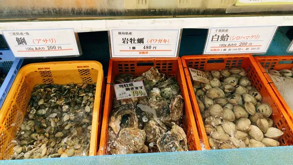 水揚げされたばかりの魚介類買えます