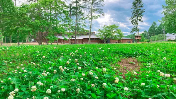 草原で寝転がるっ！