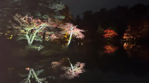 兼六園ライトアップ