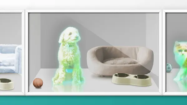 petfeliceにご連絡いただくことで、実際に面会することができます。対面することで、さらなる愛情が湧くこと間違いなし！大切な1匹を見つけてみてはいかがでしょうか！