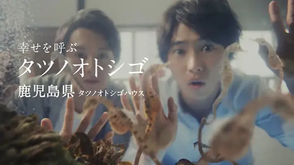 タツノオトシゴと山崎賢人