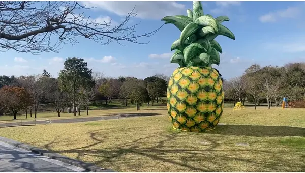 広い公園✨