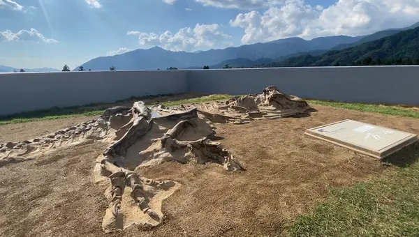屋上へ