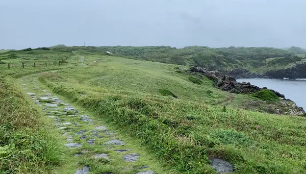 芝生の中に広がる遊歩道
