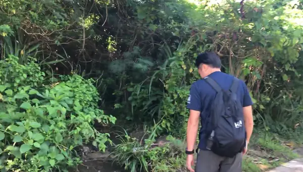 アクティビティーに参加