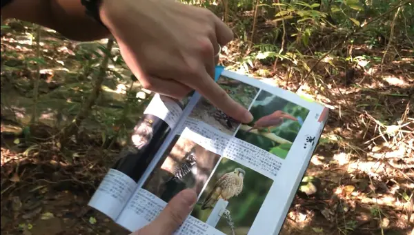 鳥についても解説してもらいました